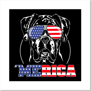 Proud Boxer Dog American Flag sunglasses Posters and Art
